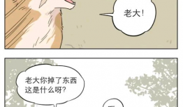 一条狗漫画,欢乐逗趣日常瞬间